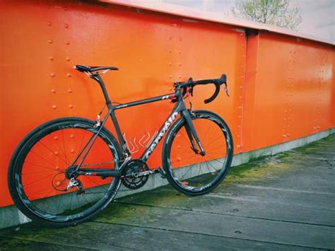 Danwilkins Melbourne Wymtm Cervelo At Sea Life Melbourne