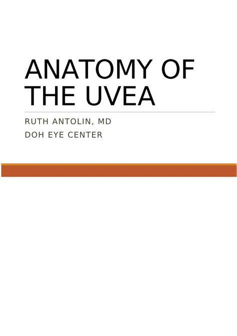 Pdf Anatomy Of The Uvea Dokumentips