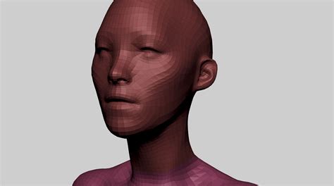 Artstation Male Female Anatomy Basemesh Resources