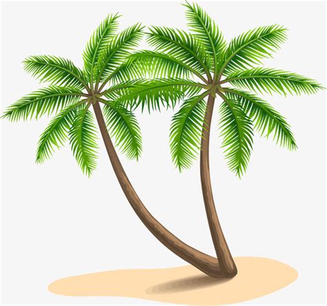 Collection Of PNG HD Palm Tree Beach PlusPNG