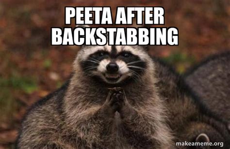 Peeta After Backstabbing Evil Plotting Raccoon Meme Generator