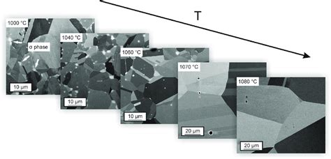 Progressive Dissolution Of The S Phase In The Cr 26 Mn 20 Fe 20 Co 20