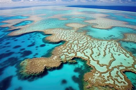 Premium Ai Image Aerial Photography Of Australias Great Barrier Reef Archipelago Grooved Coral