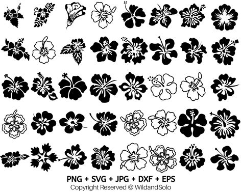 40 Hawaii Hibiscus Flower Svg Bundle Flowers Clipart Tropical Flower