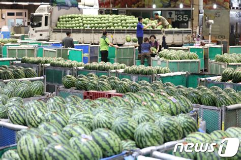 대구 농수산물도매시장 이전 결정에 달성군·북구 희비 엇갈려 네이트 뉴스