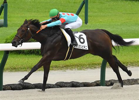 ダート1000m2歳日本新57秒2！ アメリカンビキニが16年ぶり更新／小倉1r 2歳馬特集 競馬写真ニュース 日刊スポーツ