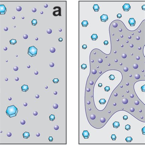 Conceptual Diagrams Of A Genuine And B Conditional Mixedphase