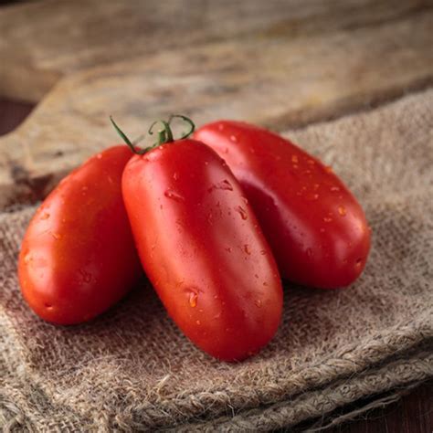 Pomodoro Perino San Marzano Per Insalta Centro Frutta Dal