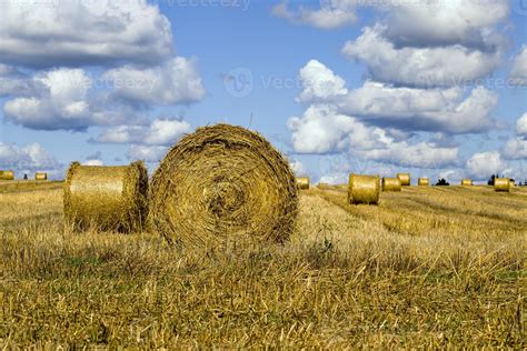 agricultural field after harvesting 9417479 Stock Photo at Vecteezy