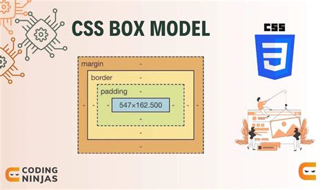 Css Box Model Naukri Code 360