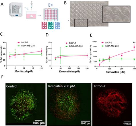 D Bioprinted Breast Tumor Stroma Models For Pre Clinical Drug Testing