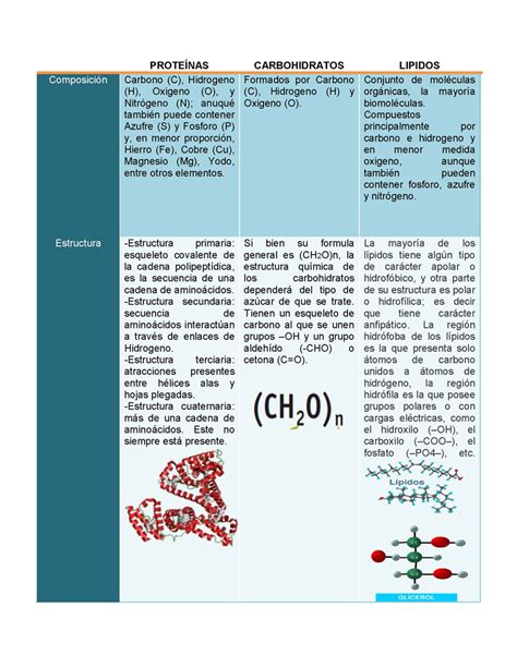 Prueba De Derbeville Impotencia Brillar Que Son Los Carbohidratos Las