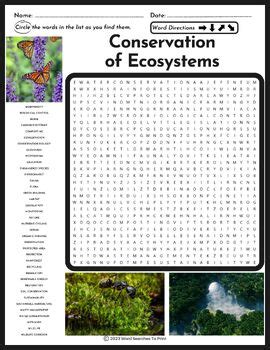 Conservation Of Ecosystems Word Search Ecology Wildlife Fauna Flora