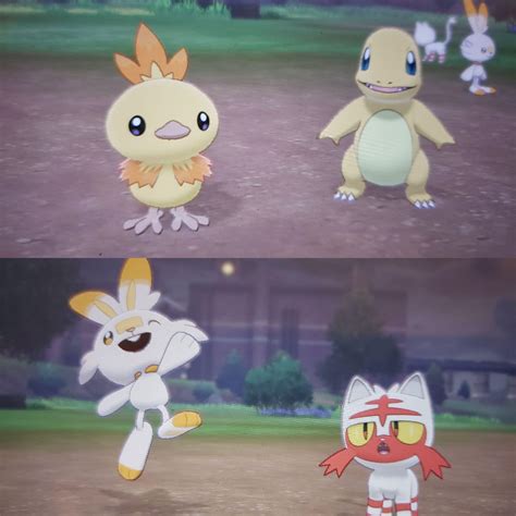 Finally got all shiny fire starters 🔥🌟 : r/PokemonSwordAndShield