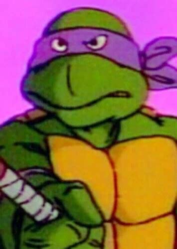 Donatello 80s Cartoon Fan Casting For Turtles Forever 2 Multiverse