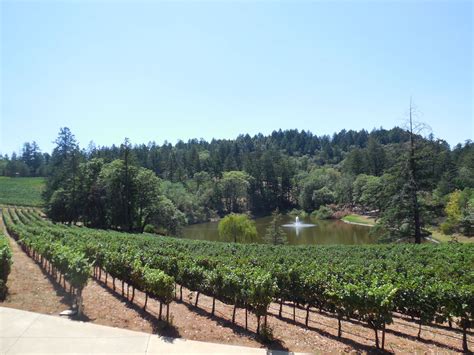 Spring Mountain Napa County Ca Wine Country Favorite Places Outdoor