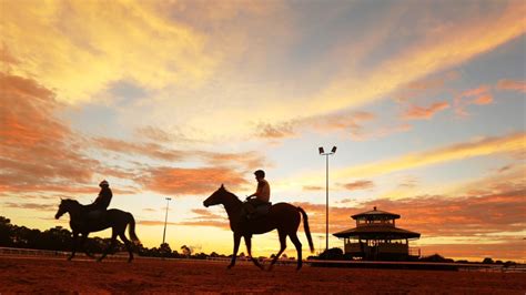 Rosehill Racecourse to be redeveloped for 25,000 houses | Sky News ...