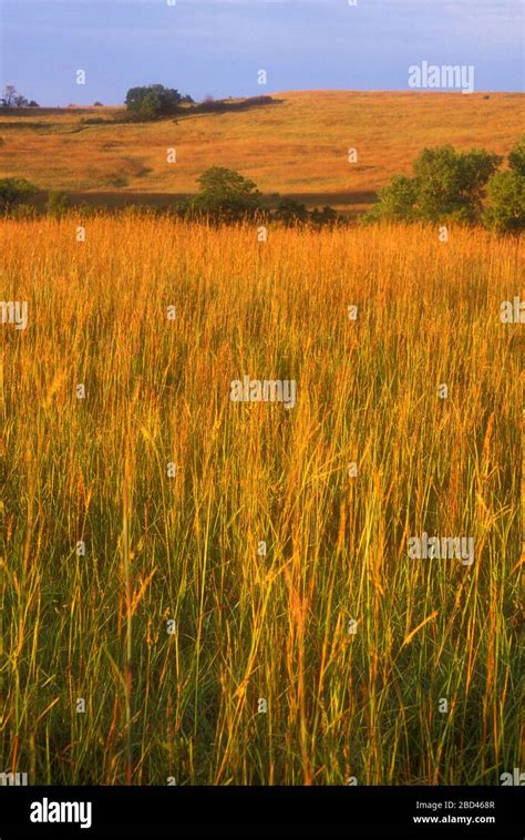 Prairie, Tallgrass Prairie National Preserve, Flint Hills Scenic Byway, Kansas Stock Photo - Alamy