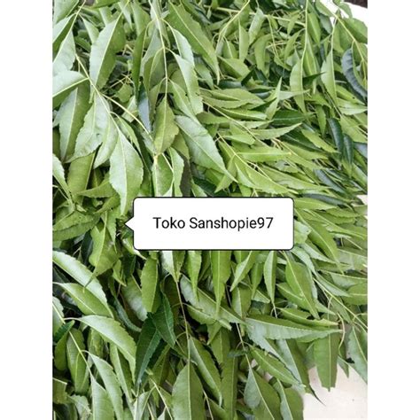 Jual Daun Mimba Segar Paket 1 Kg Daun Di Ambil Mendadak Shopee Indonesia