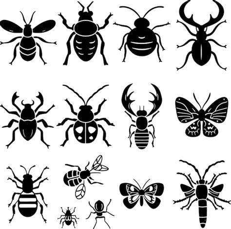 Premium Vector Insects Collection Black And White Silhouette Vector Illustration