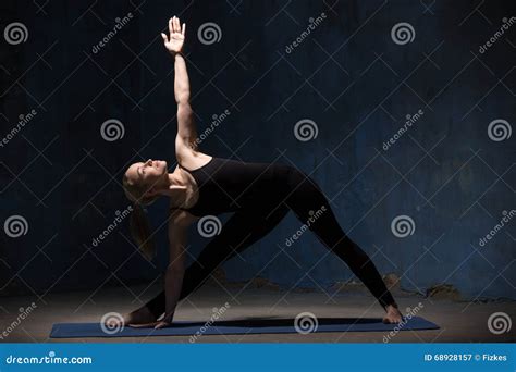 Extended Triangle Pose With Brick Closeup Utthita Trikonasana Pose