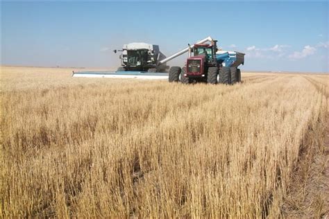 Oklahoma Farm Report From The Oklahoma Wheat Commission Harvest