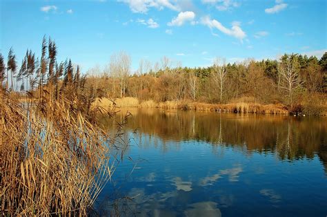 Wallpaper Landscape Forest Lake Nature Reflection Grass Sky