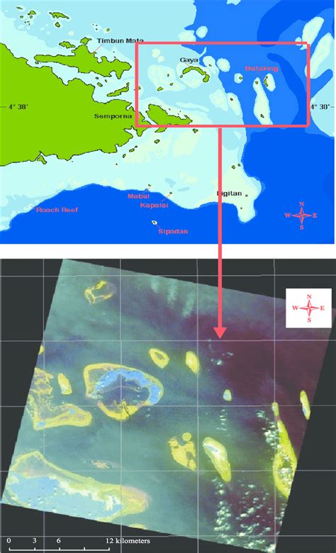 locality map  studied area  scientific diagram