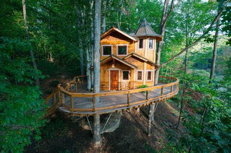 Adult Tree Houses For Rent