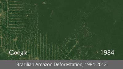 Deforestation of the Amazon Rainforest, 1986-now [gif] : r/gifs