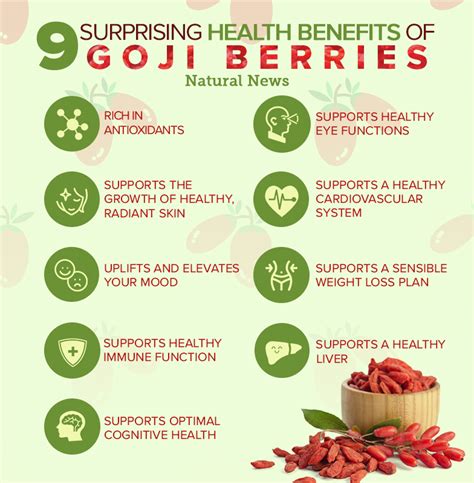 Antioxidant Rich Goji Berries Are Superfruit Snacks That Offer A