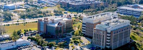 Uf Health Cancer Center Again Named State Designated Cancer Center Of