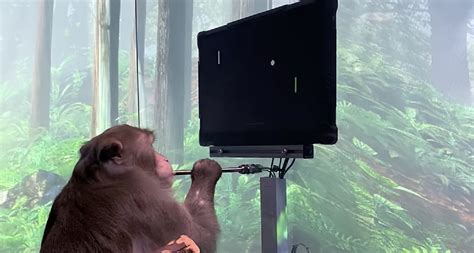 Elon Musk’s NeuraLink releases video of monkey playing games with his mind