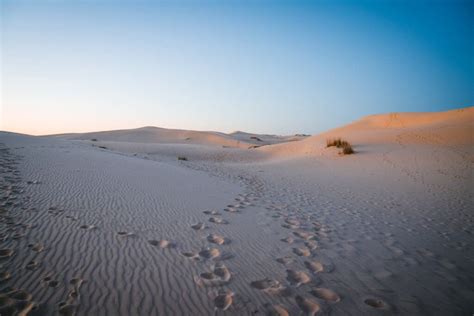 Monahans Sandhills State Park While We Were Wandering State Parks