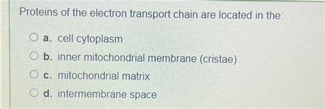 Solved Proteins of the electron transport chain are located | Chegg.com