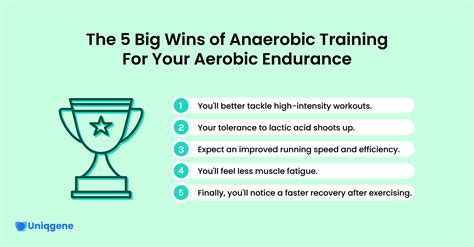 How to Master Aerobic Endurance: Benefits and Exercises - Fitnesso