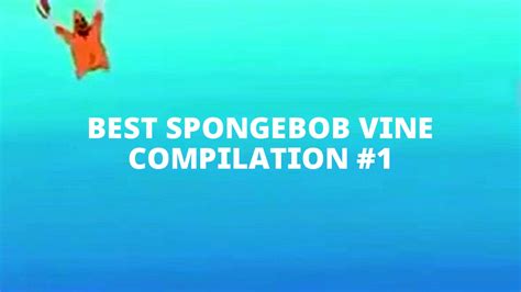 Best Spongebob Vine Compilation 1 Youtube