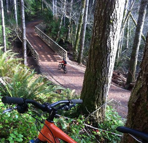 Biking The Paved Olympic Discovery Trail Near Lake Crescent In Olympic National Park Need A