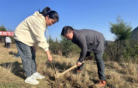 【保护生态环境 推动绿色发展】关岭：新年上班第一天 干部义务植树忙澎湃号·政务澎湃新闻 The Paper