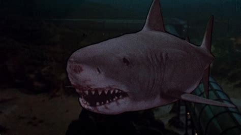 Jaws movies ranked, worst to best | Live Science