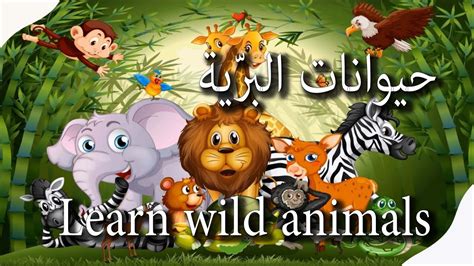 🦁learn Wild Animald🐒 حيوانات بريّة🦙 أسماء وأصوات الحيوانات 🐘للاطفال🐊