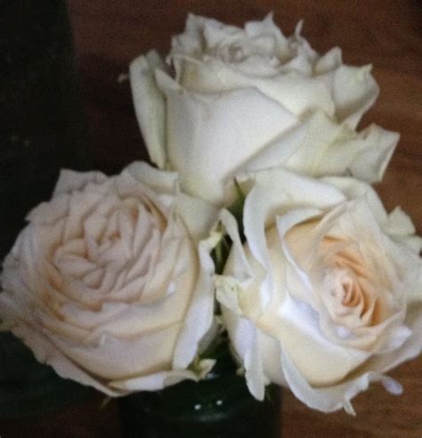 White Majolika Spray Rose Spray Roses Food Desserts