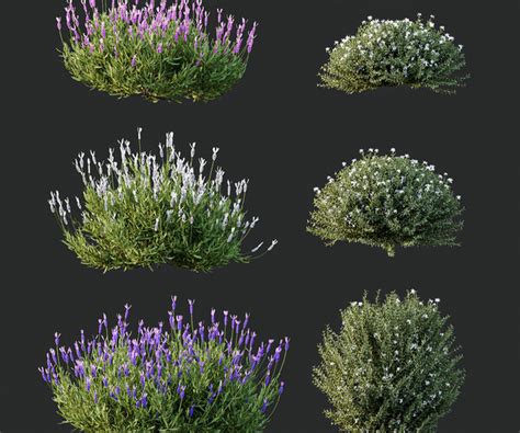 ArtStation - spring Flowering bush | Resources