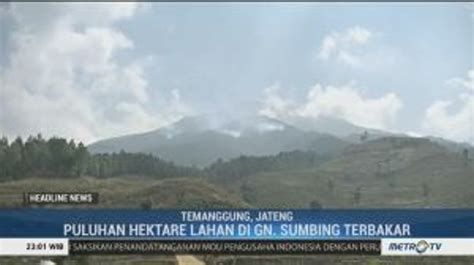 Puluhan Hektare Lahan Di Gunung Sumbing Terbakar Video Dailymotion