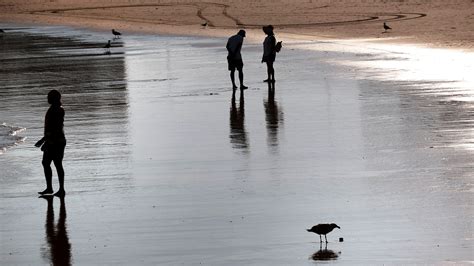 Watch Today Excerpt More Beaches Shut Down Due To Shark Sightings In