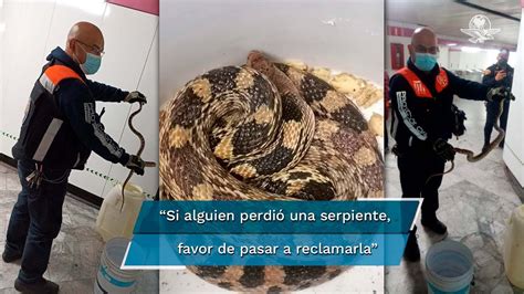 Encuentran serpiente en estación del Metro Boulevard Puerto Aéreo CDMX