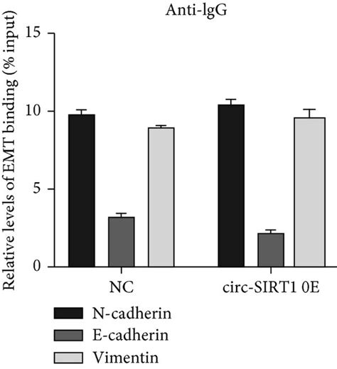 Circ SIRT1 Promotes EMT By Binding To EIF4A3 RIP And RNA Pull Down