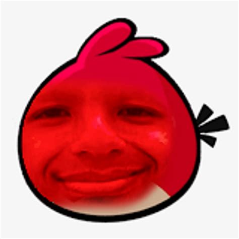 idk        goofy ahh montage rangrybirds