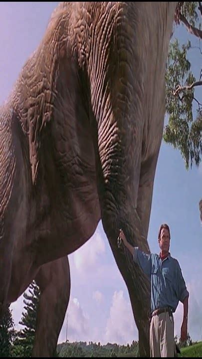 Por Esto Todos Los Dinos Tienen Plumas En Jurassic World Jurassicworld