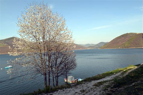 Zlatarsko Jezero